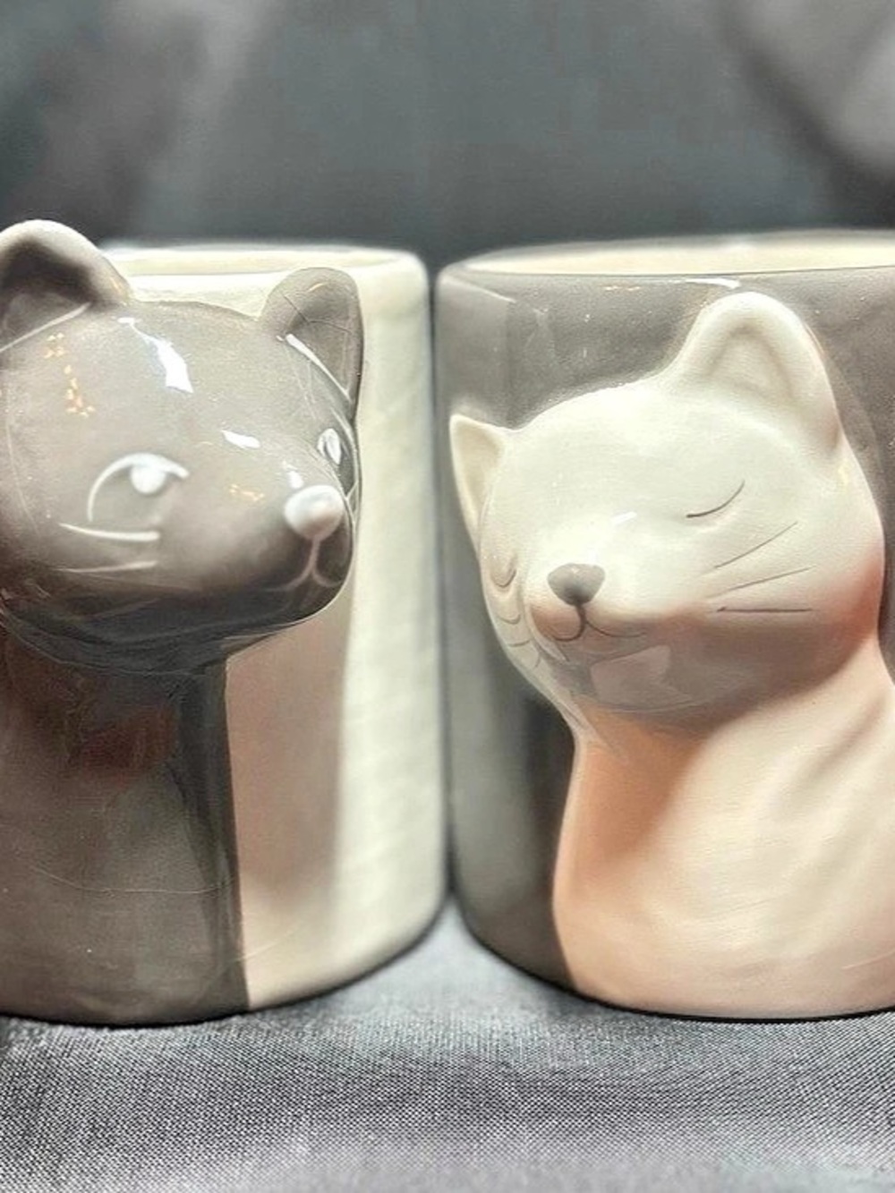 Miamo Cat Mugs Cat Mug Set Gray & White Like New